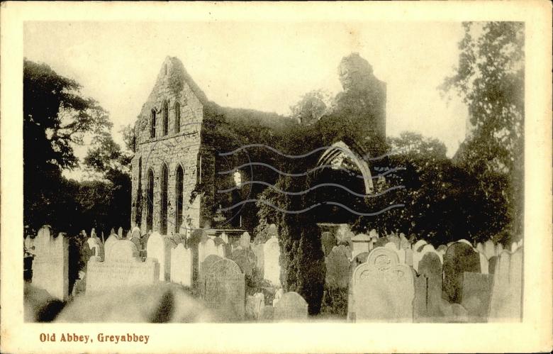 Old Abbey, Greyabbey